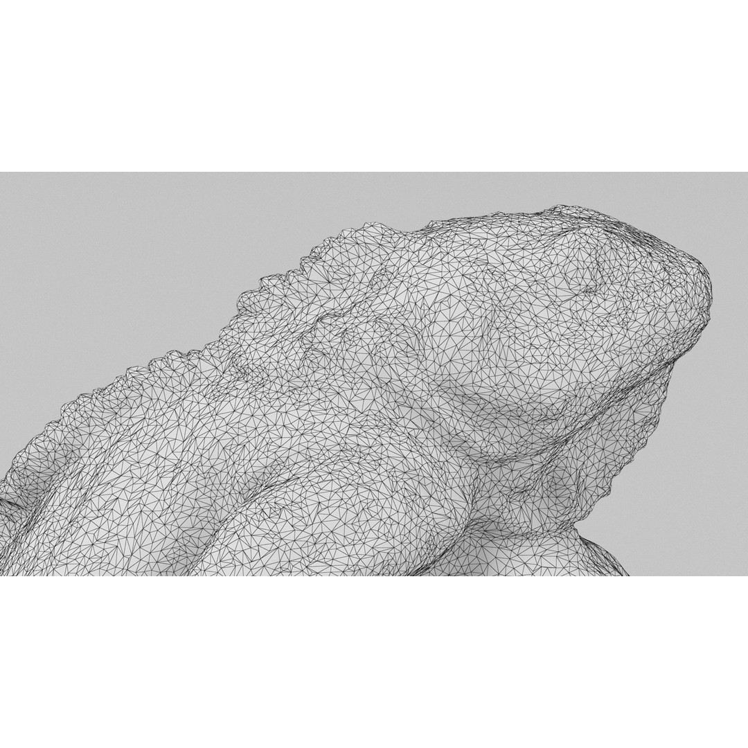 Lizard Statue 3D Model – High-Res Photogrammetry Sculpture, FBX & OBJ