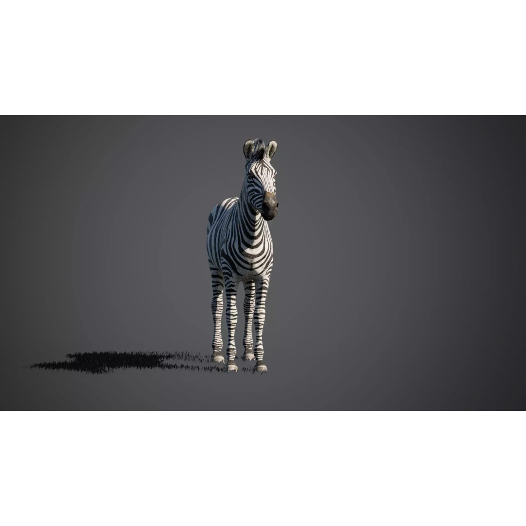 Zebra 3D Model – Rigged Animated Character with PBR Textures - View 14