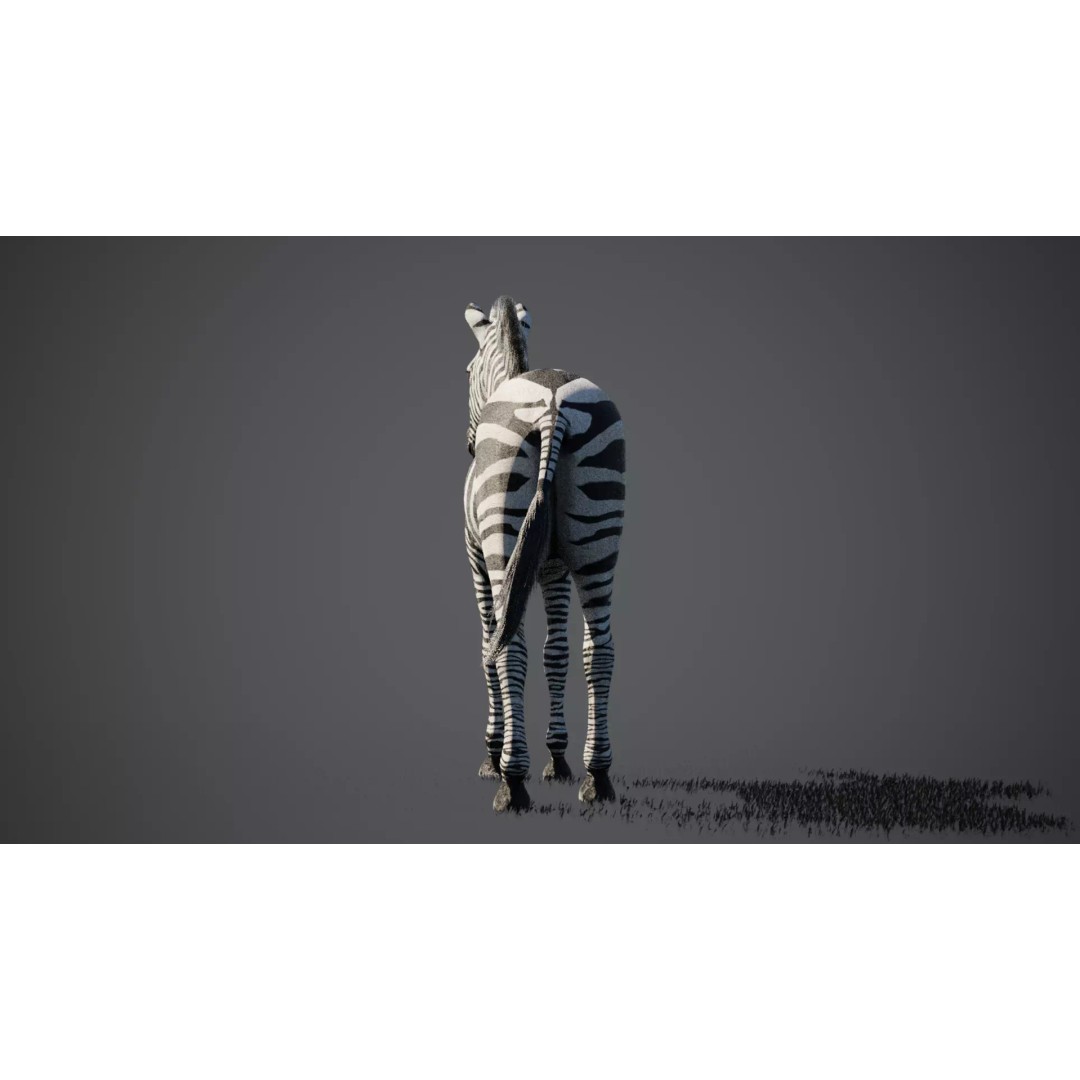 Zebra 3D Model – Rigged Animated Character with PBR Textures - View 15