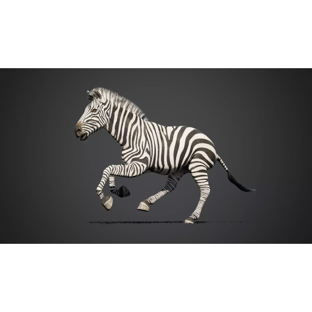 Zebra 3D Model – Rigged Animated Character with PBR Textures - View 5