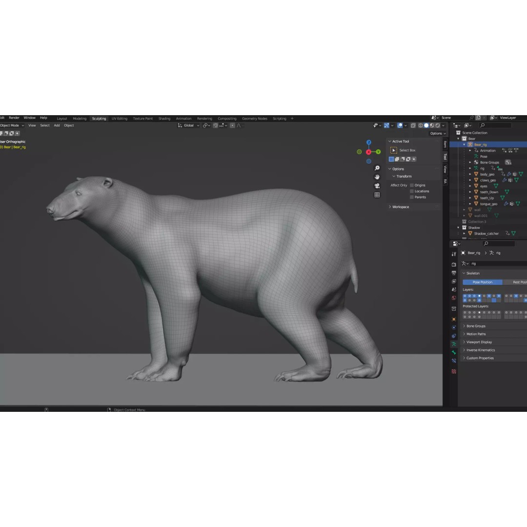 Polar Bear 3D Model – Rigged Animated Character for Blender, FBX - View 11