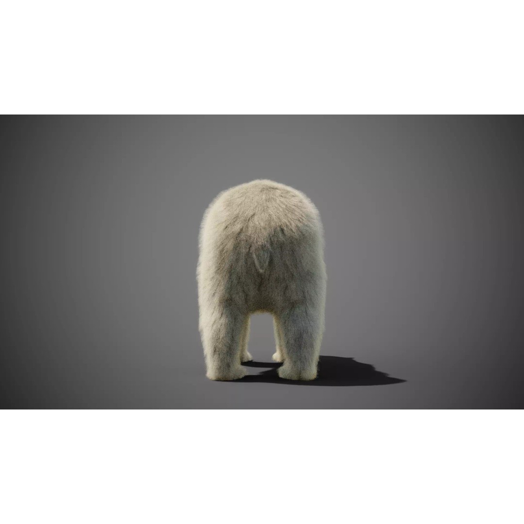 Polar Bear 3D Model – Rigged Animated Character for Blender, FBX - View 7