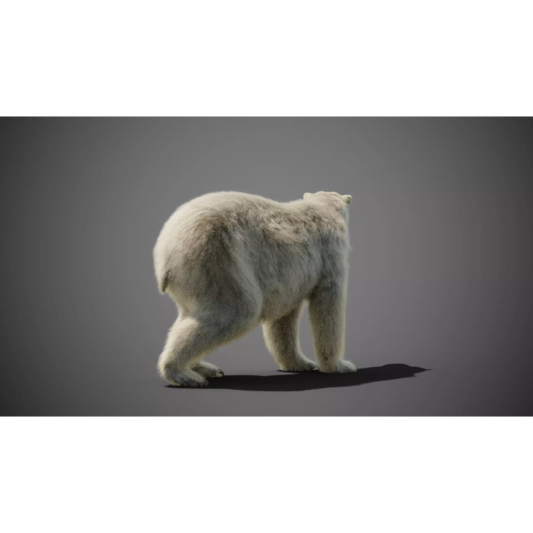 Polar Bear 3D Model – Rigged Animated Character for Blender, FBX - View 9