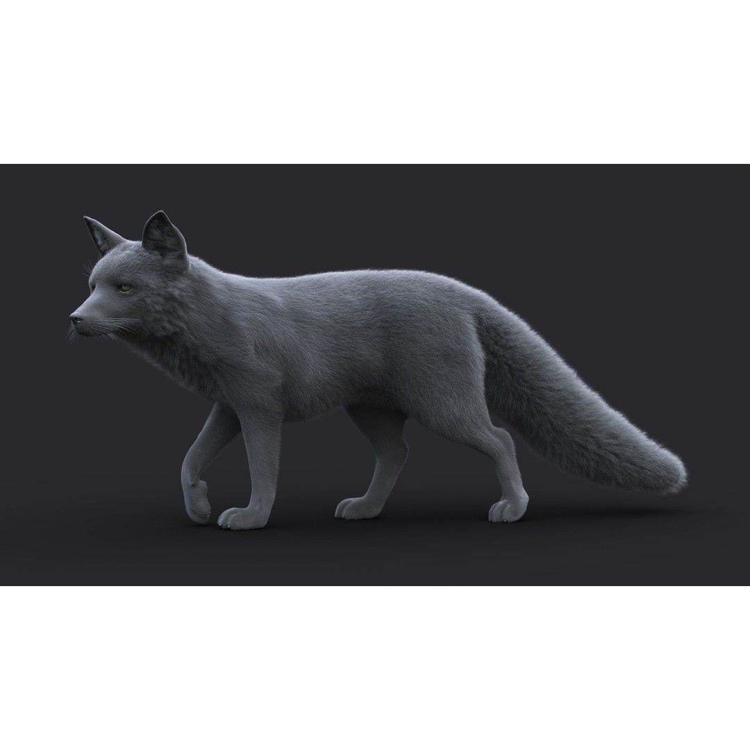 Photorealistic Fox 3D Model – Fully Rigged, High Poly, Maya - View 15