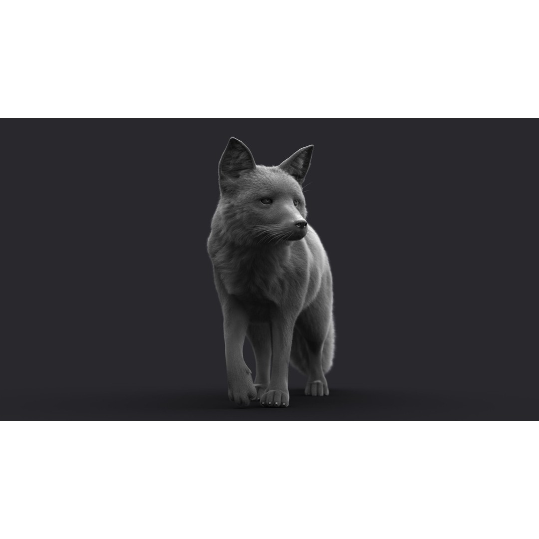 Photorealistic Fox 3D Model – Fully Rigged, High Poly, Maya - View 16