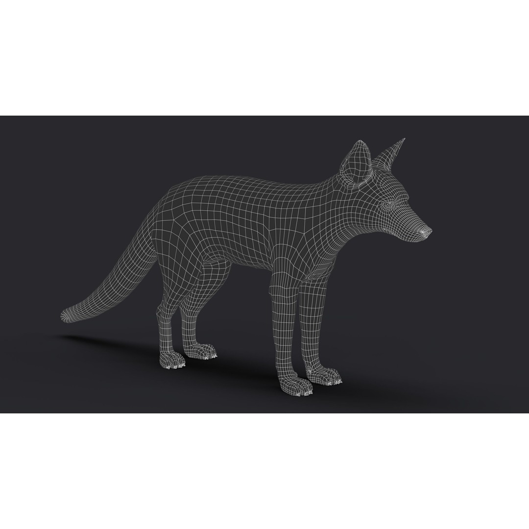 Photorealistic Fox 3D Model – Fully Rigged, High Poly, Maya - View 17