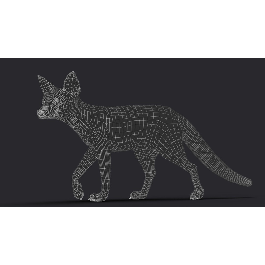 Photorealistic Fox 3D Model – Fully Rigged, High Poly, Maya - View 18