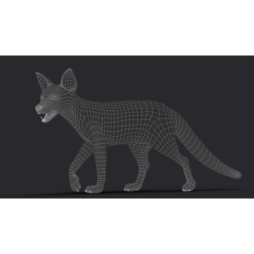 Photorealistic Fox 3D Model – Fully Rigged, High Poly, Maya - View 19