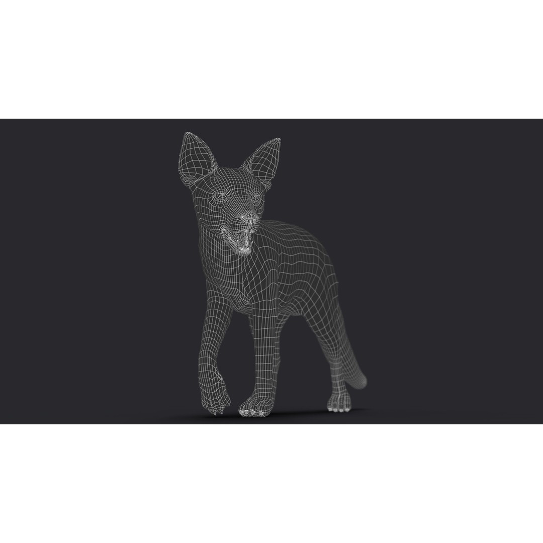 Photorealistic Fox 3D Model – Fully Rigged, High Poly, Maya - View 20