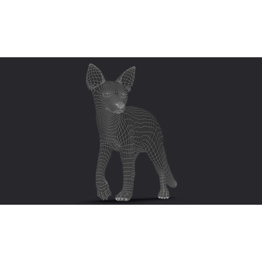 Photorealistic Fox 3D Model – Fully Rigged, High Poly, Maya - View 21