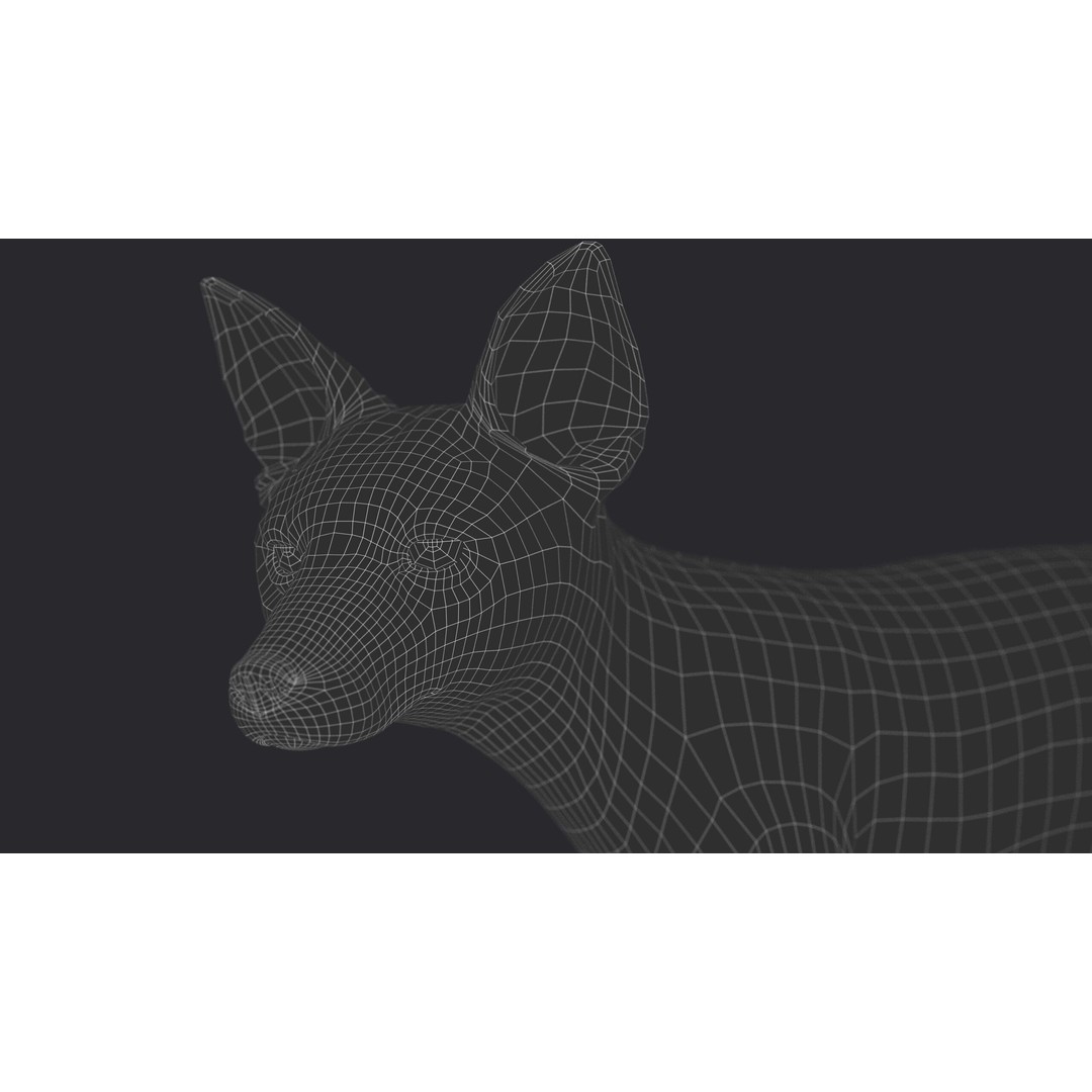 Photorealistic Fox 3D Model – Fully Rigged, High Poly, Maya - View 22