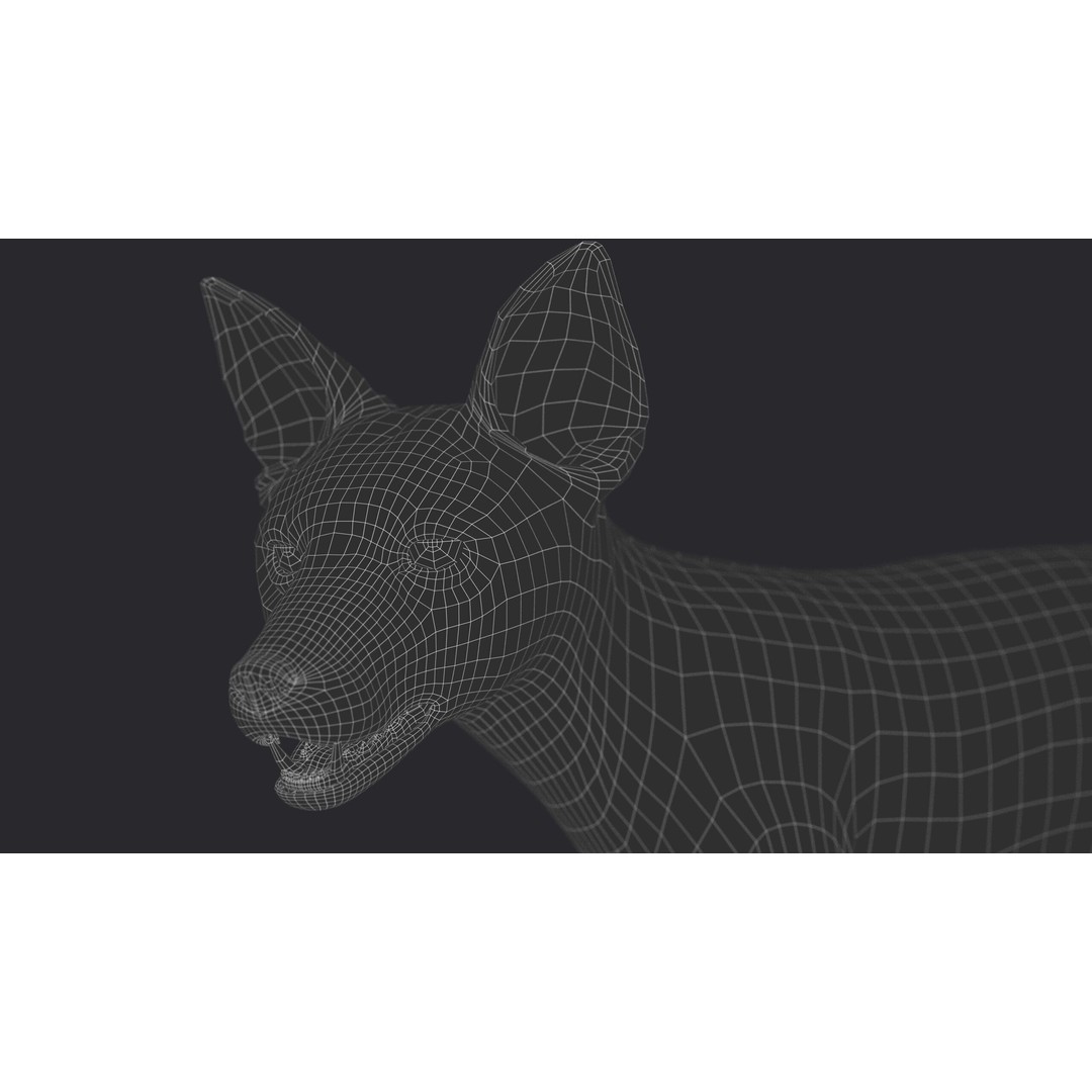Photorealistic Fox 3D Model – Fully Rigged, High Poly, Maya - View 23