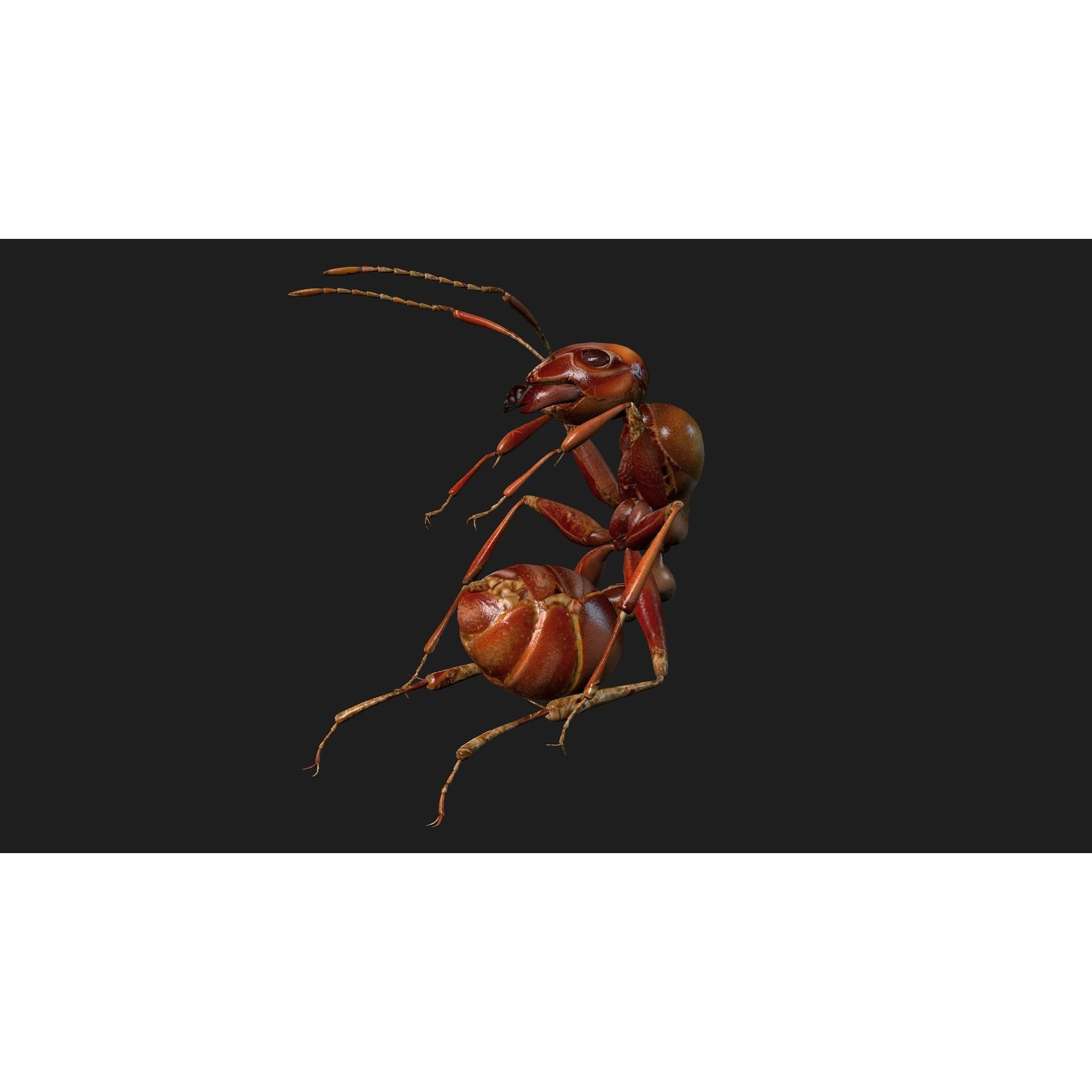 Ant-V2 - Rigged Animated Game-Ready 3D Model - View 4