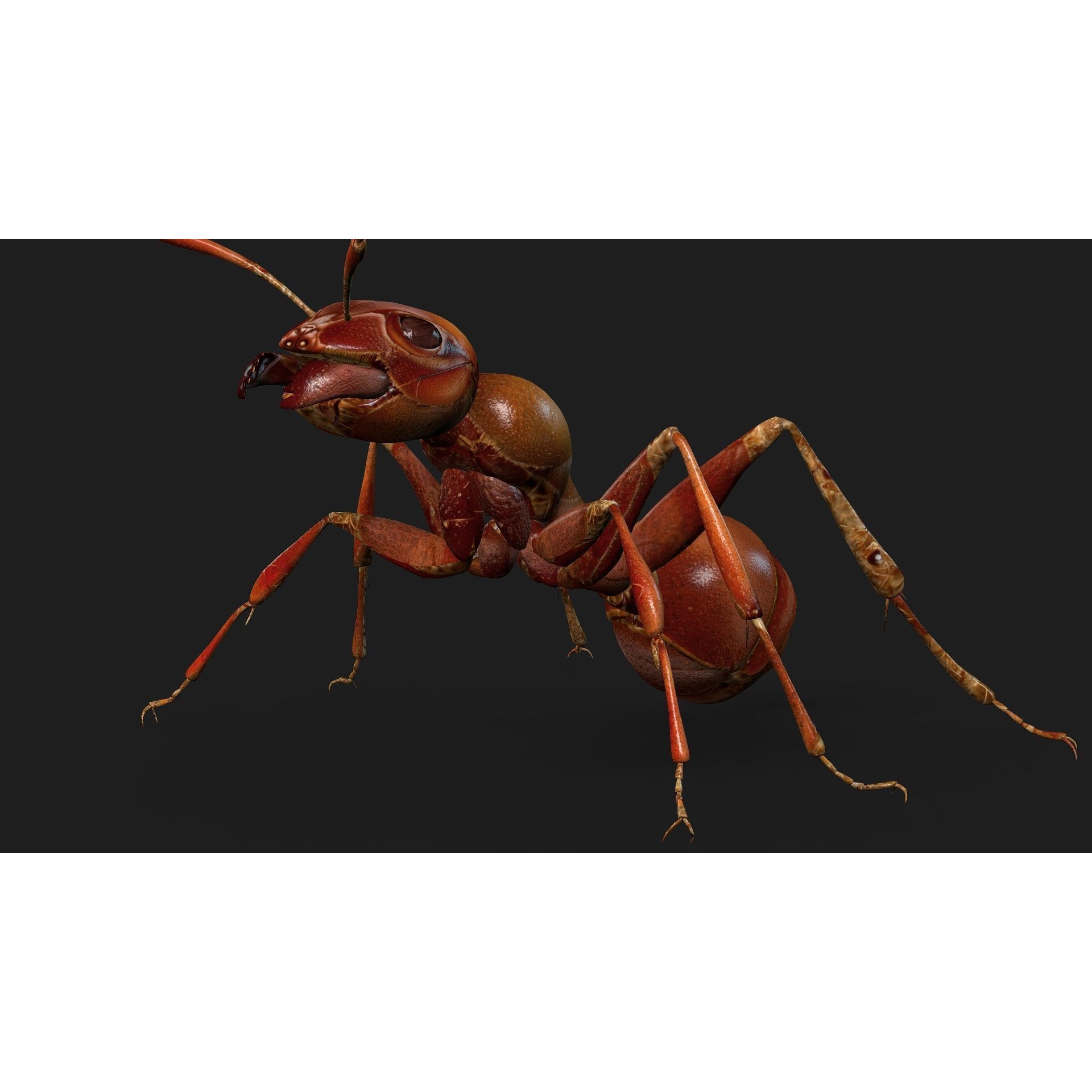 Ant-V2 - Rigged Animated Game-Ready 3D Model - View 9