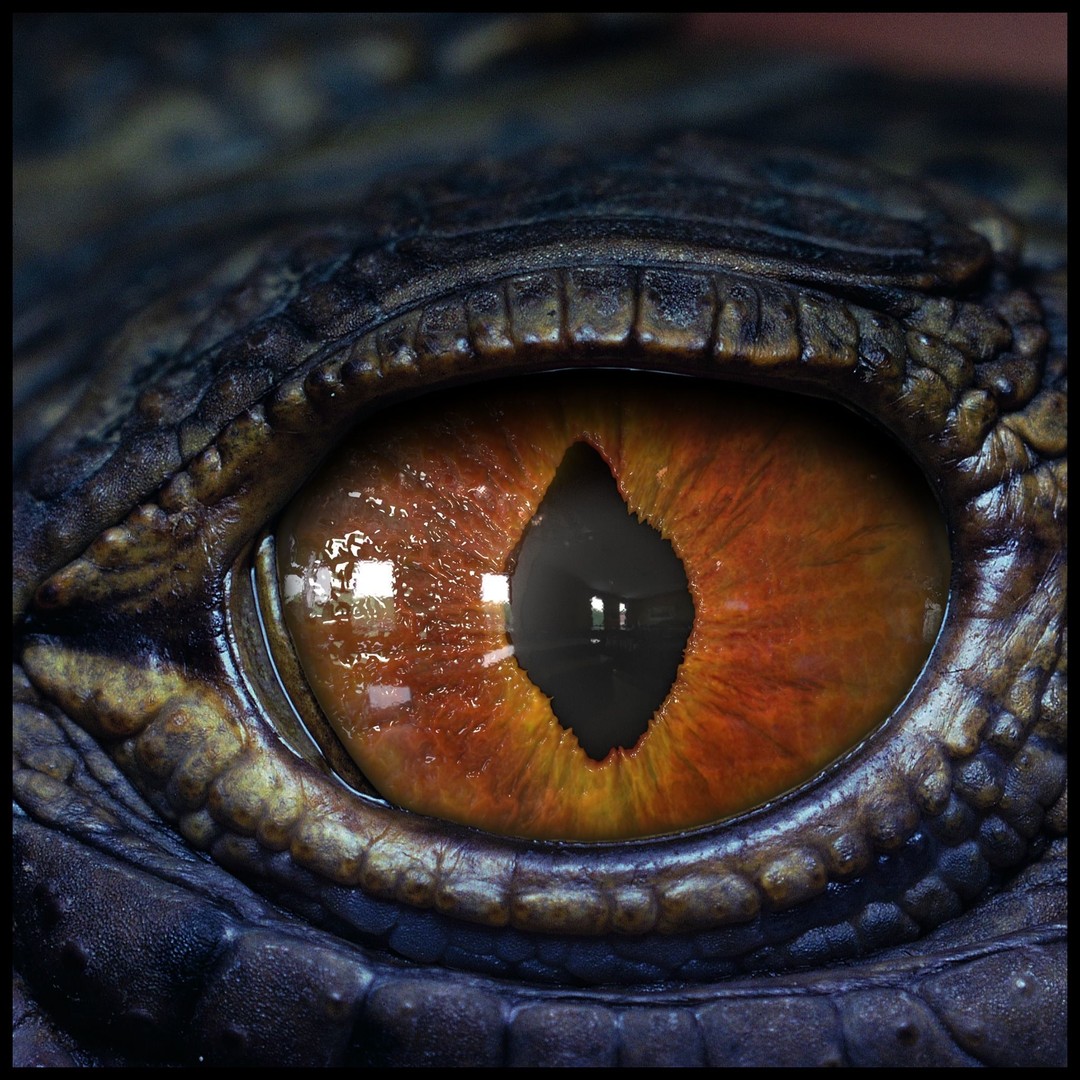 Creature Eyes 3D Model – PBR Low-Poly Eye Bundle, FBX - View 10
