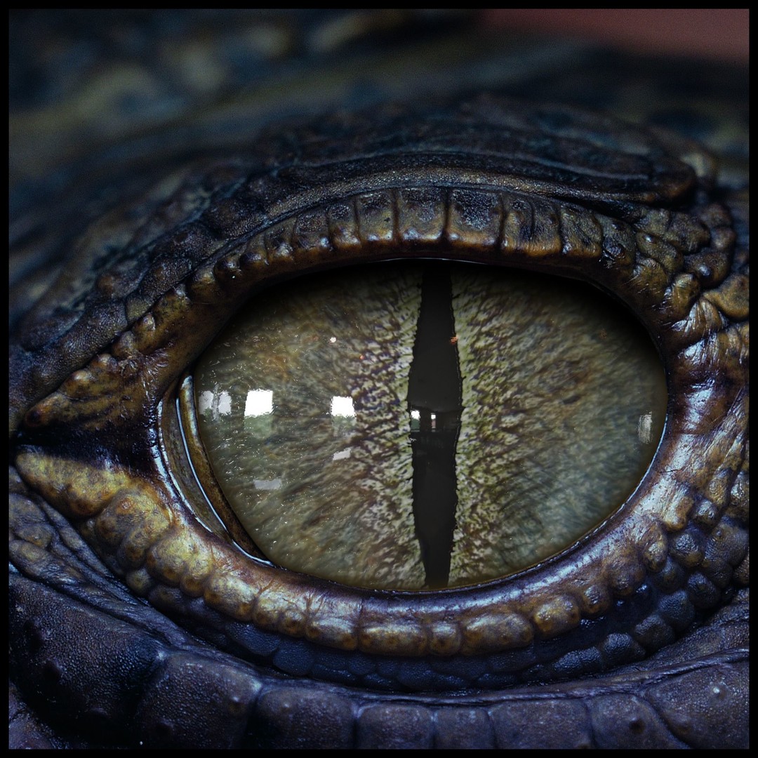 Creature Eyes 3D Model – PBR Low-Poly Eye Bundle, FBX - View 11