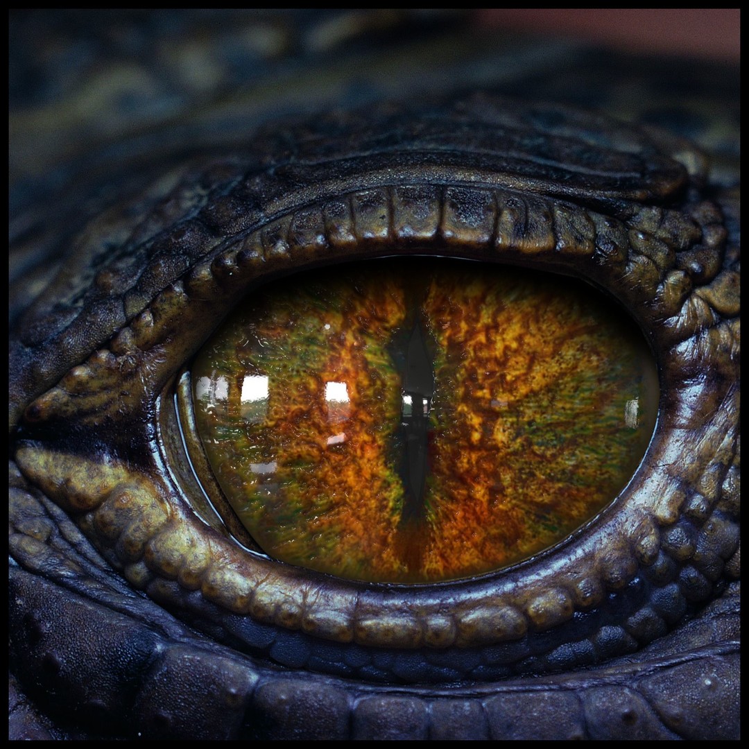 Creature Eyes 3D Model – PBR Low-Poly Eye Bundle, FBX - View 12