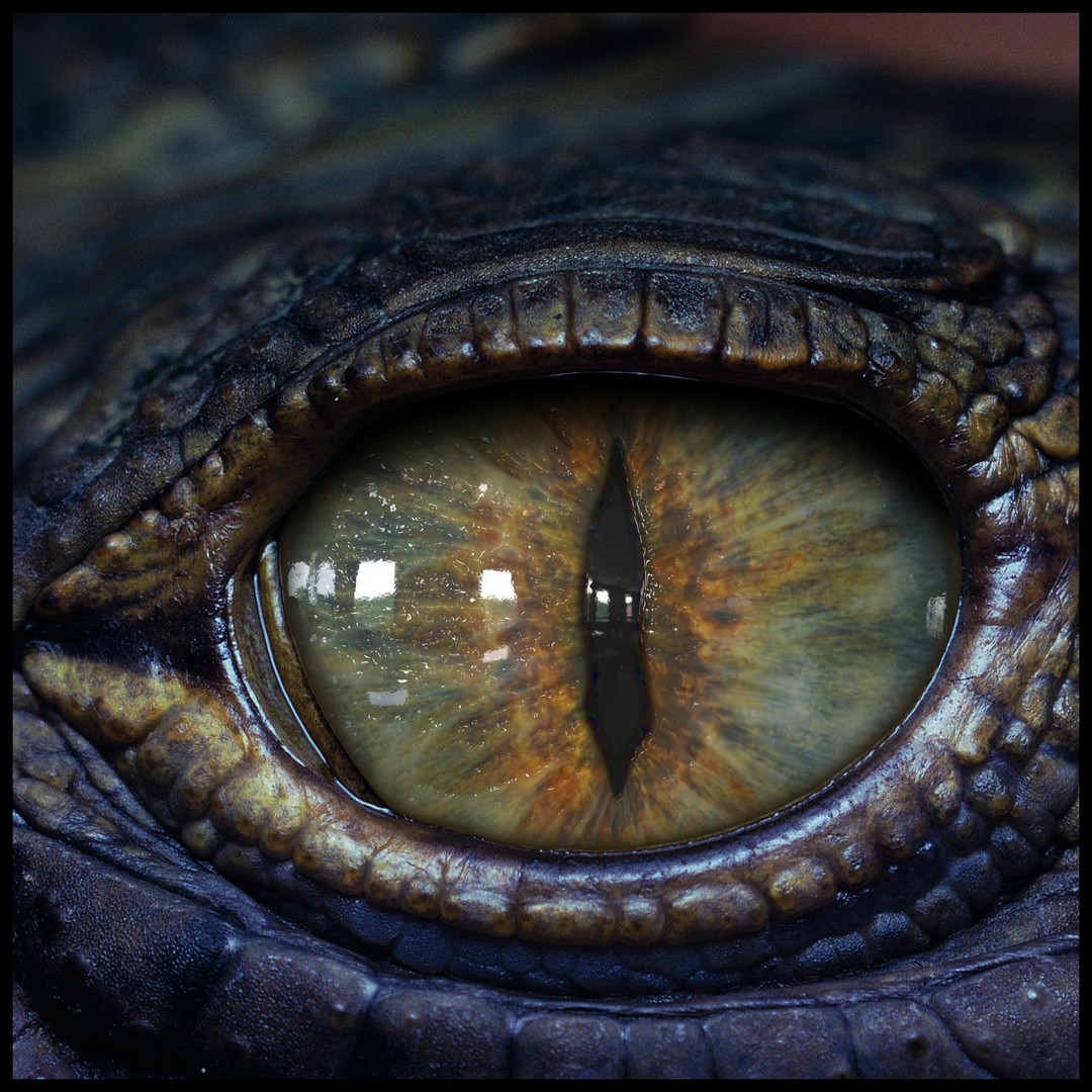 Creature Eyes 3D Model – PBR Low-Poly Eye Bundle, FBX - View 13