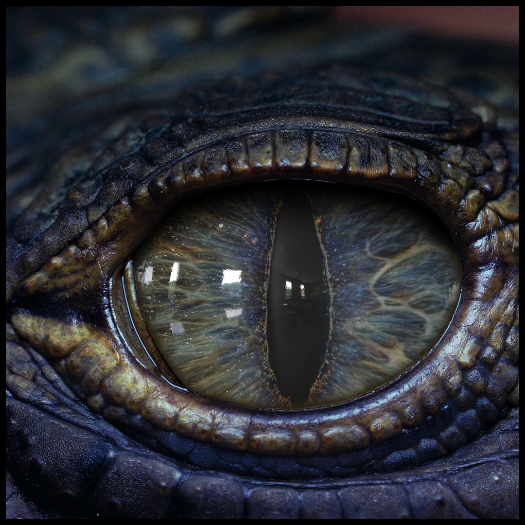 Creature Eyes 3D Model – PBR Low-Poly Eye Bundle, FBX - View 14