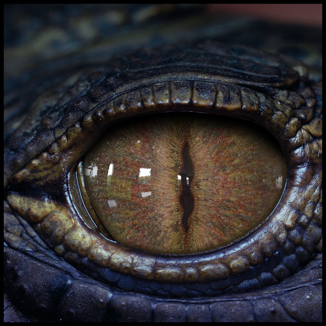 Creature Eyes 3D Model – PBR Low-Poly Eye Bundle, FBX - View 15