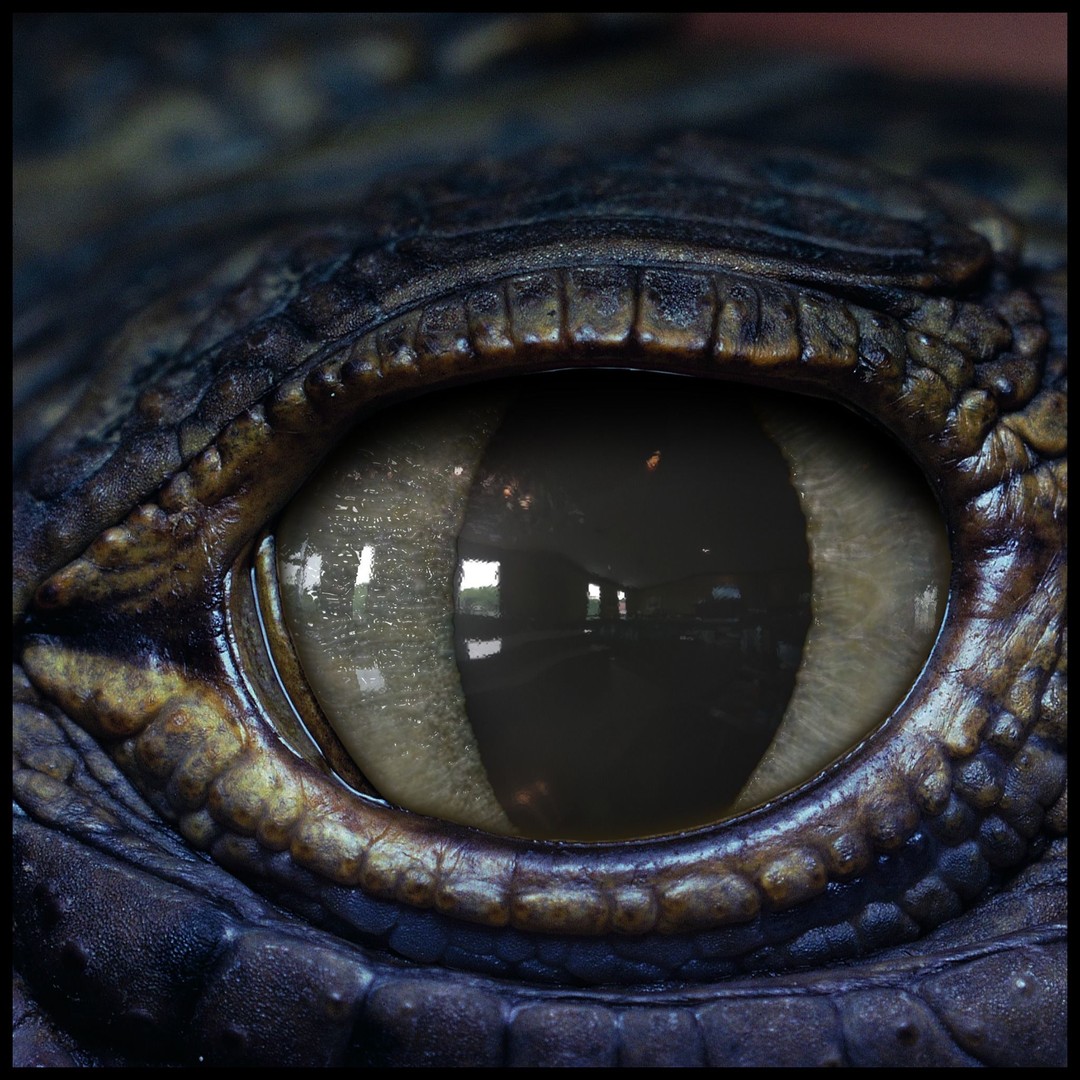 Creature Eyes 3D Model – PBR Low-Poly Eye Bundle, FBX - View 16