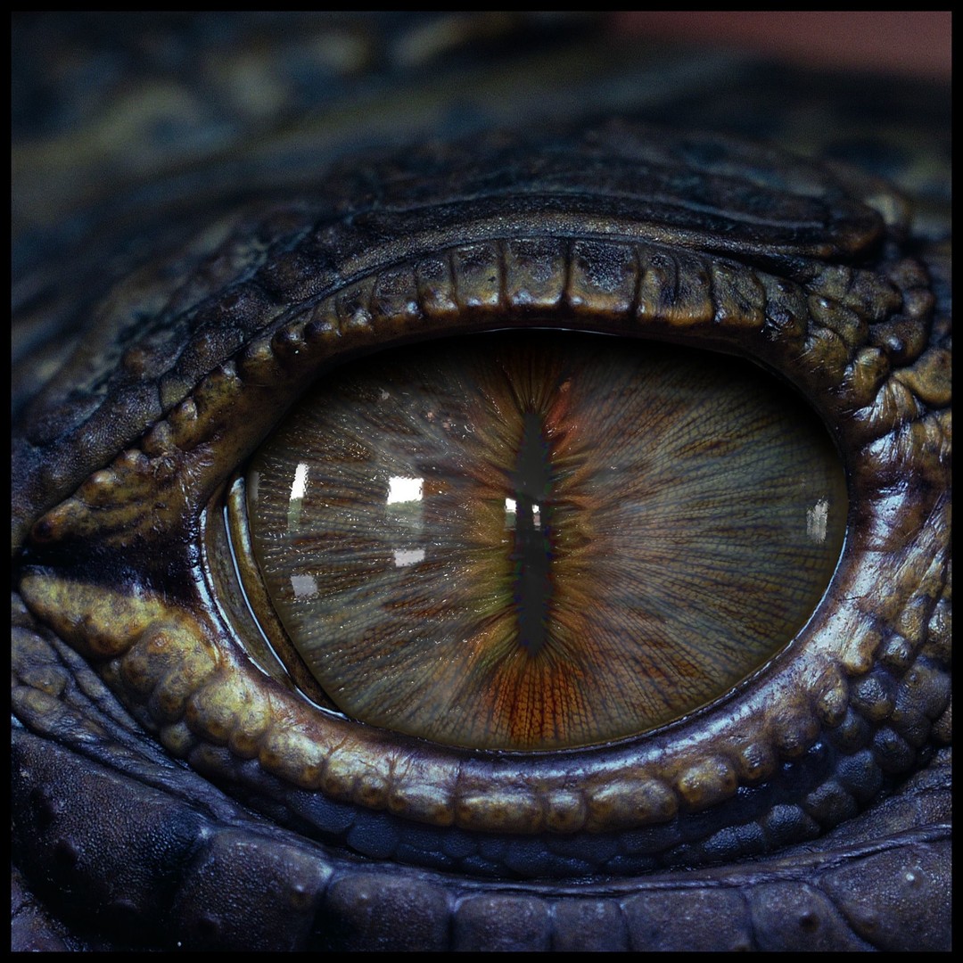 Creature Eyes 3D Model – PBR Low-Poly Eye Bundle, FBX - View 17