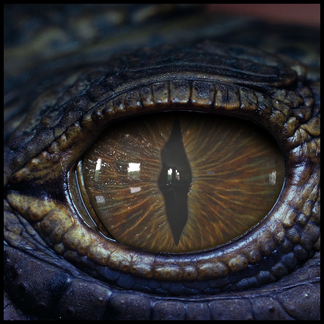 Creature Eyes 3D Model – PBR Low-Poly Eye Bundle, FBX - View 18