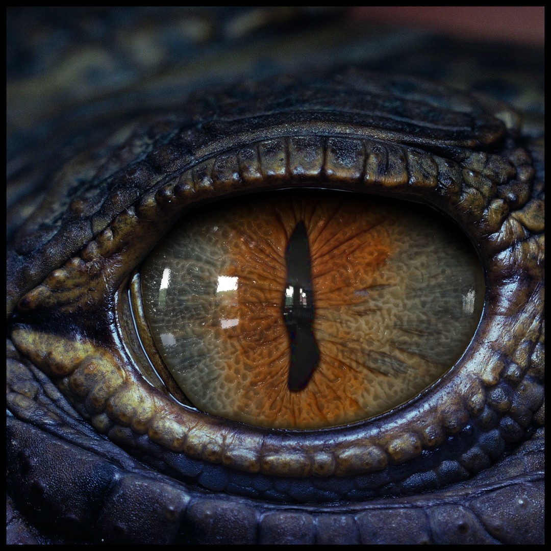 Creature Eyes 3D Model – PBR Low-Poly Eye Bundle, FBX - View 19