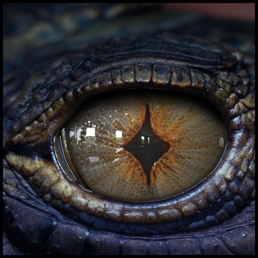 Creature Eyes 3D Model – PBR Low-Poly Eye Bundle, FBX - View 4