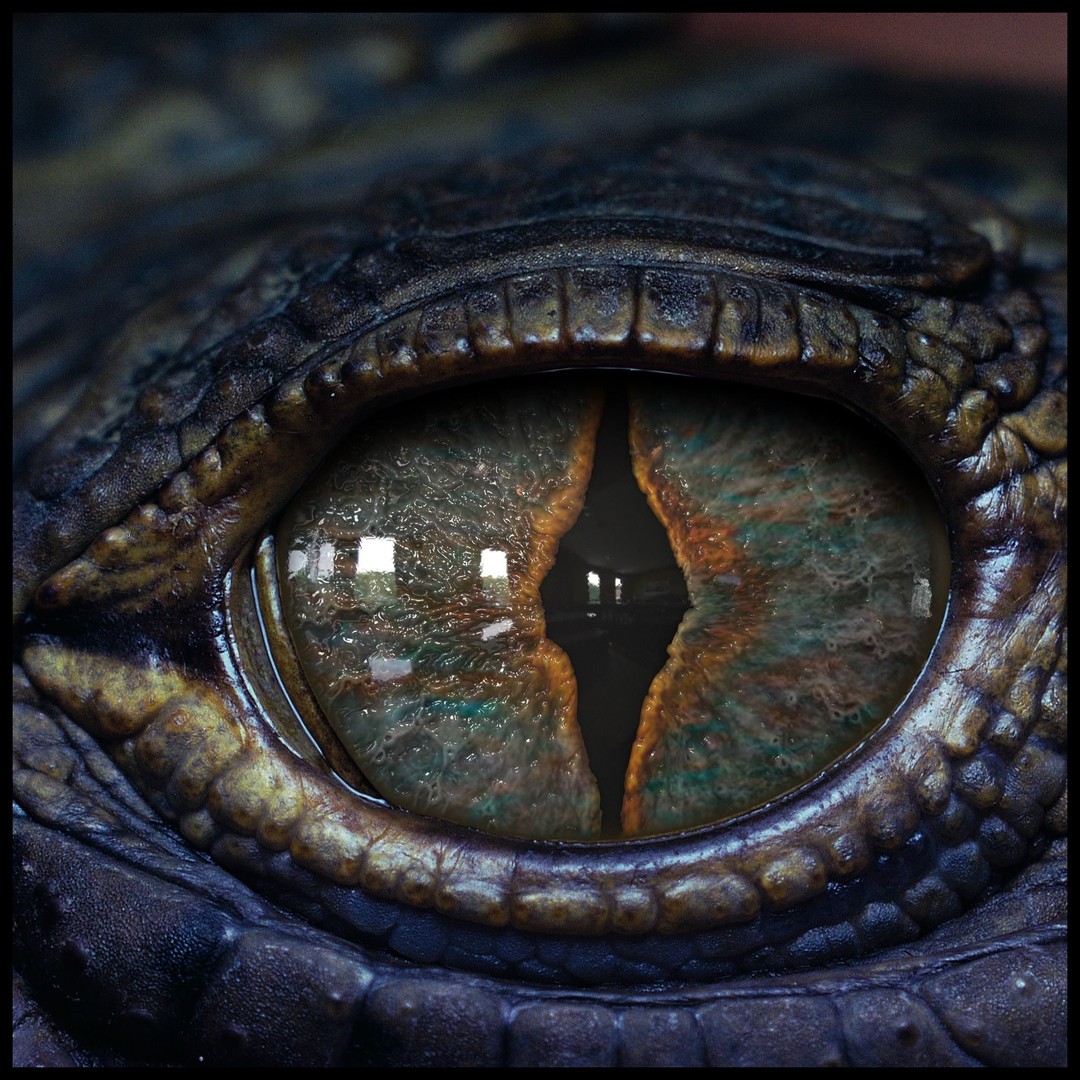 Creature Eyes 3D Model – PBR Low-Poly Eye Bundle, FBX - View 5