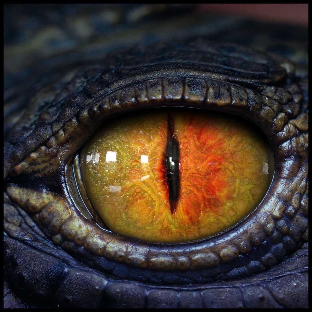 Creature Eyes 3D Model – PBR Low-Poly Eye Bundle, FBX - View 7