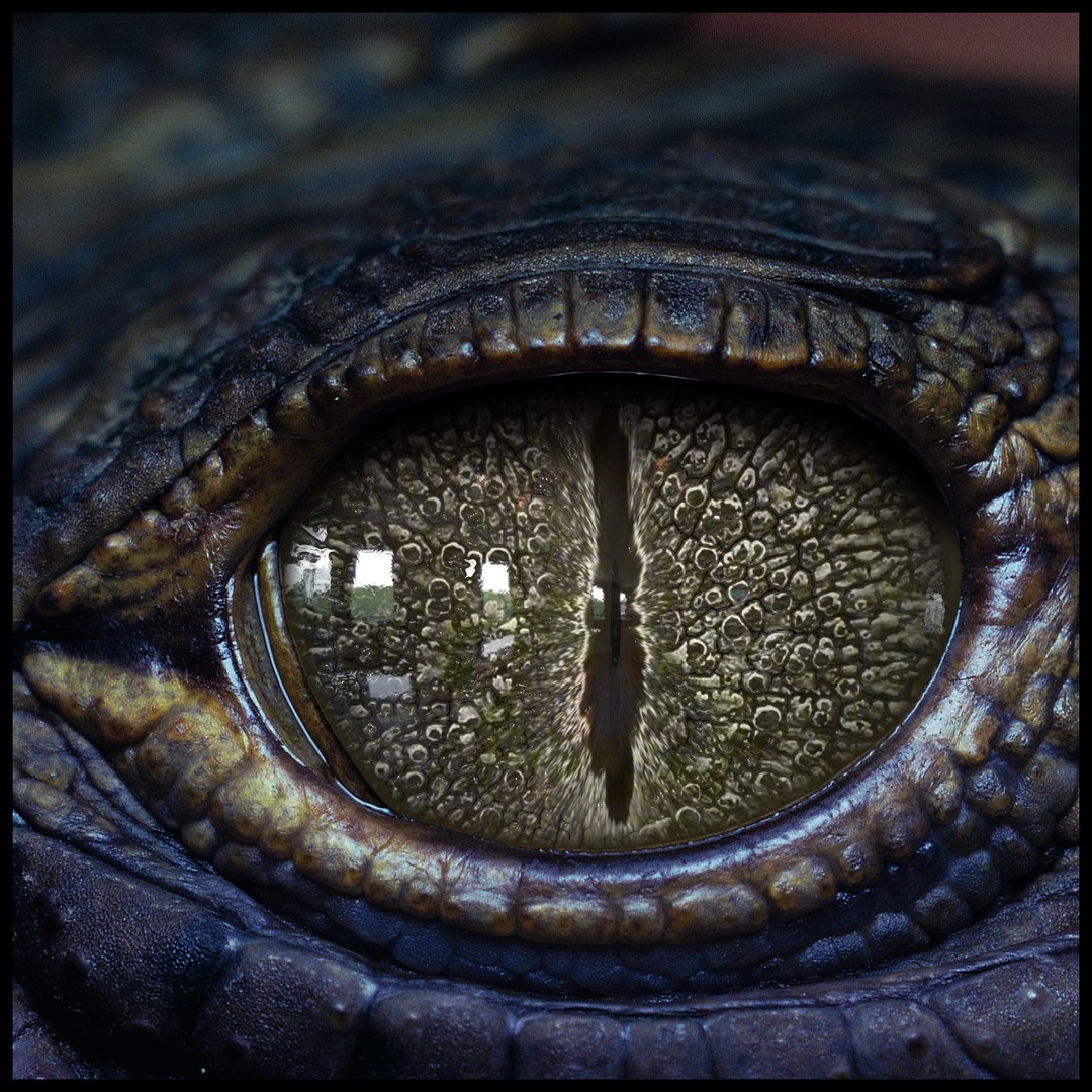 Creature Eyes 3D Model – PBR Low-Poly Eye Bundle, FBX - View 8