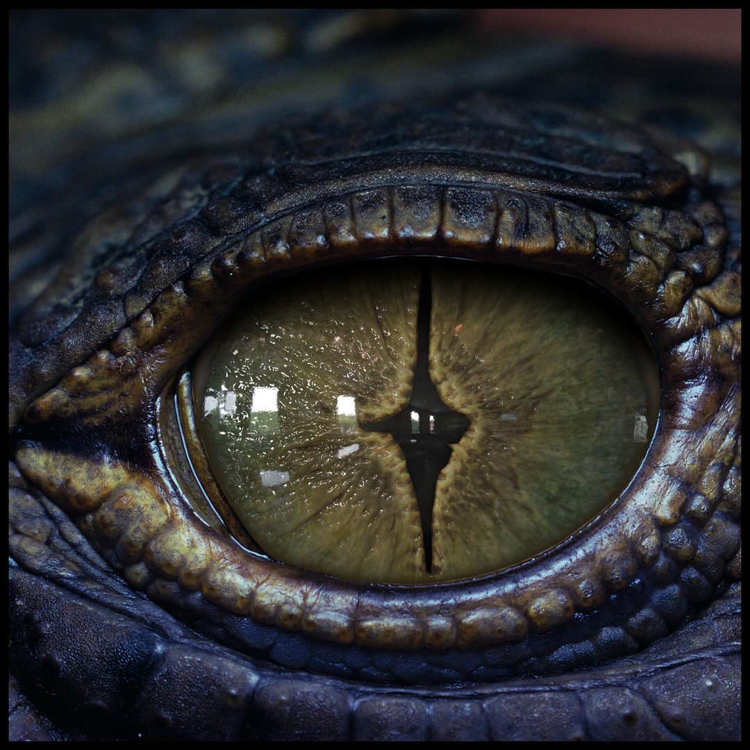 Creature Eyes 3D Model – PBR Low-Poly Eye Bundle, FBX - View 9