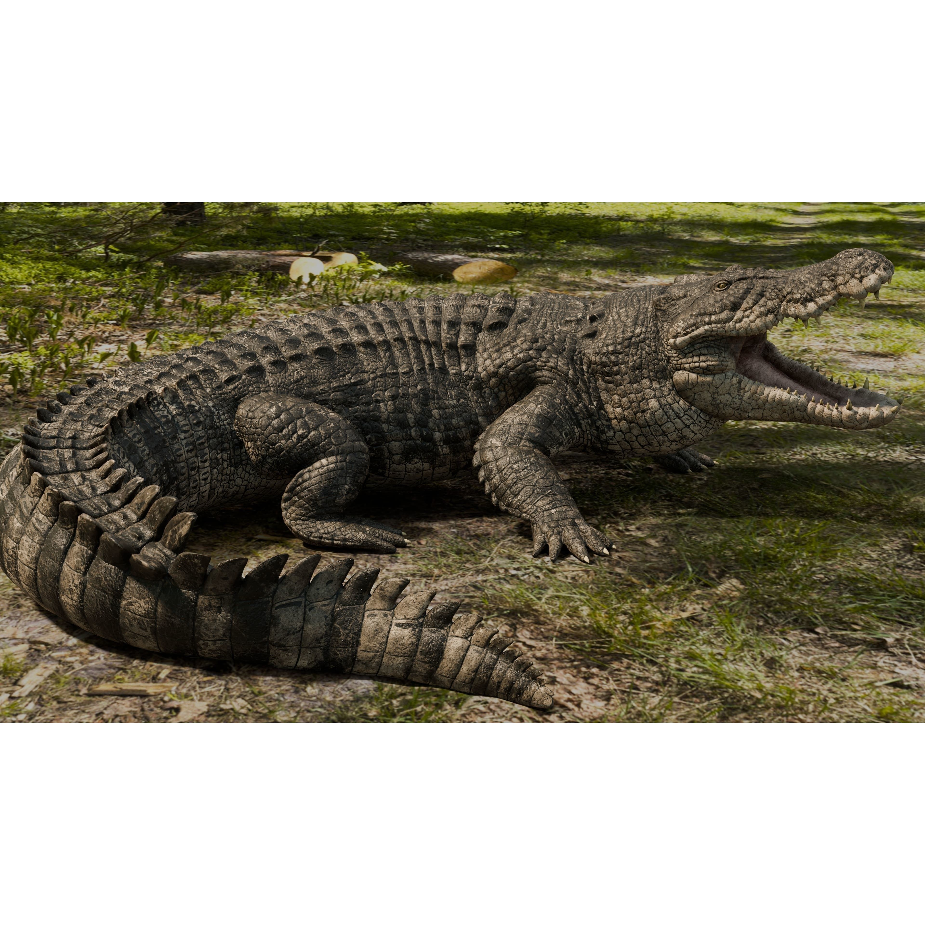 Saltwater Crocodile - Low-Poly Game-Ready 3D Model - View 10
