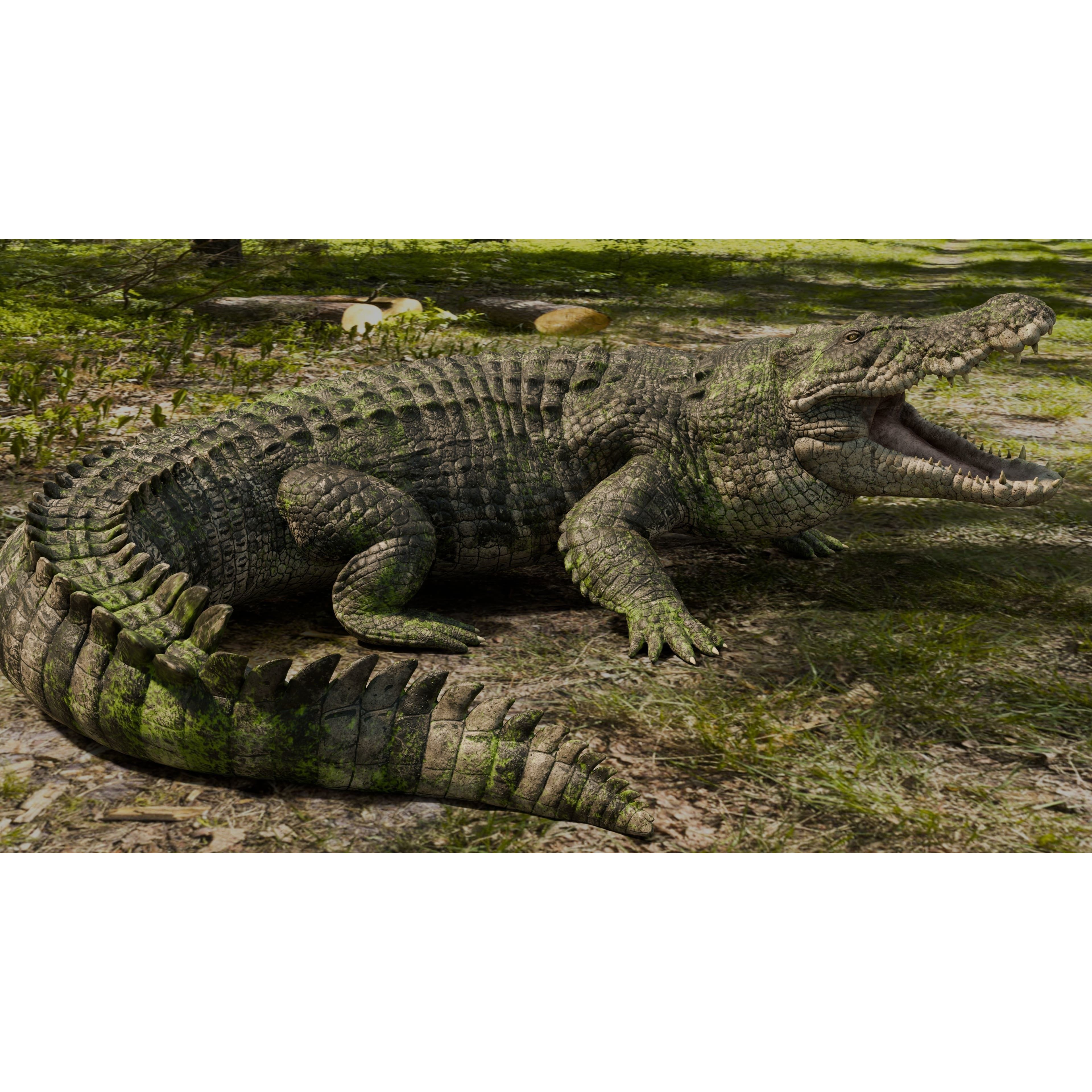 Saltwater Crocodile - Low-Poly Game-Ready 3D Model - View 11