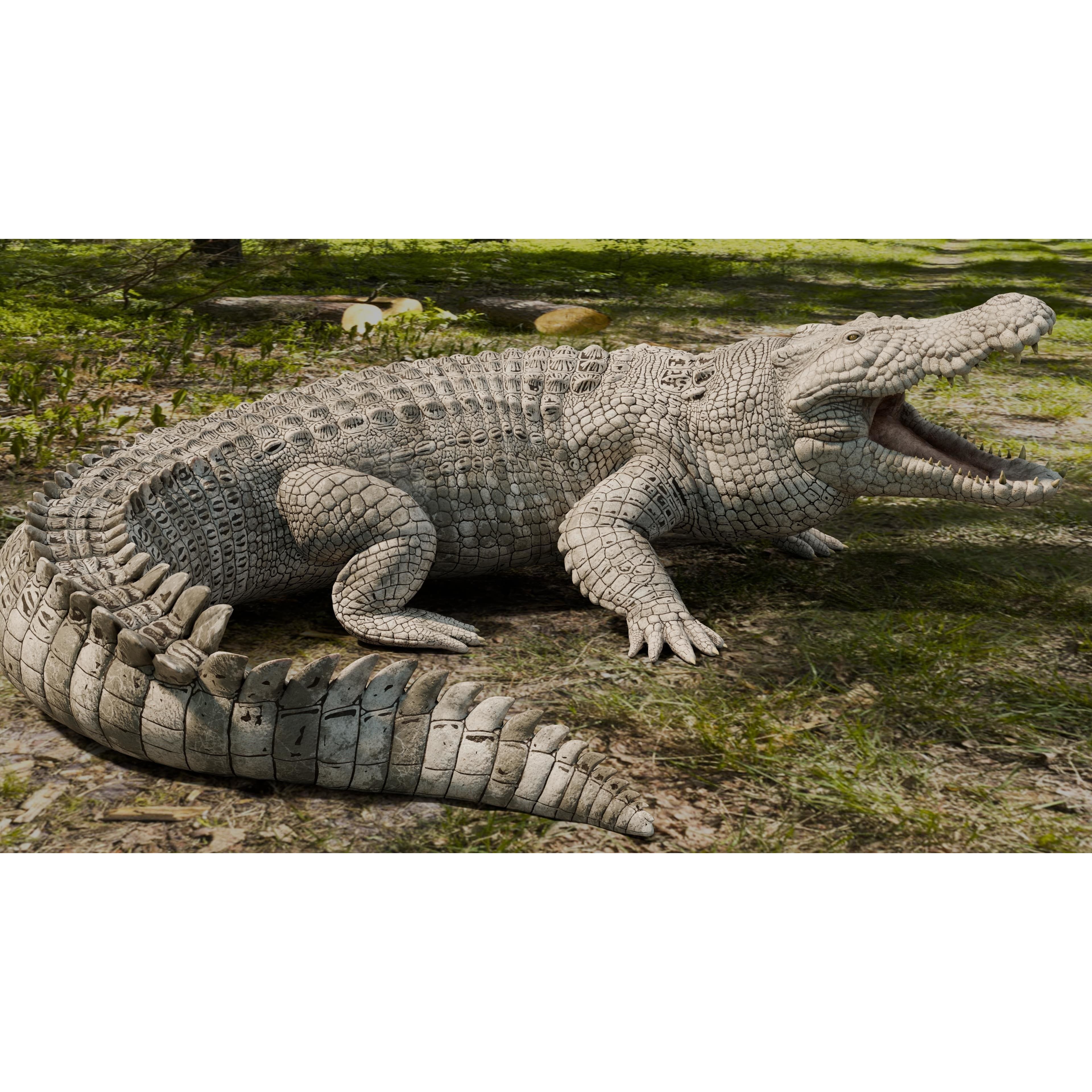 Saltwater Crocodile - Low-Poly Game-Ready 3D Model - View 12