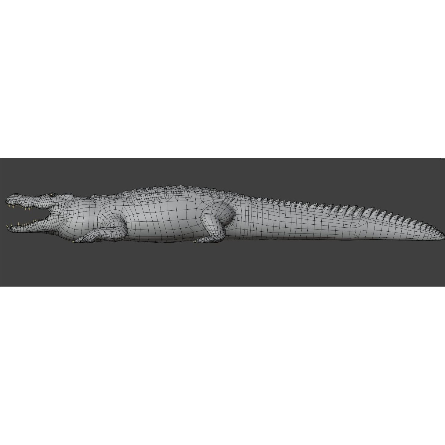 Saltwater Crocodile - Low-Poly Game-Ready 3D Model - View 13
