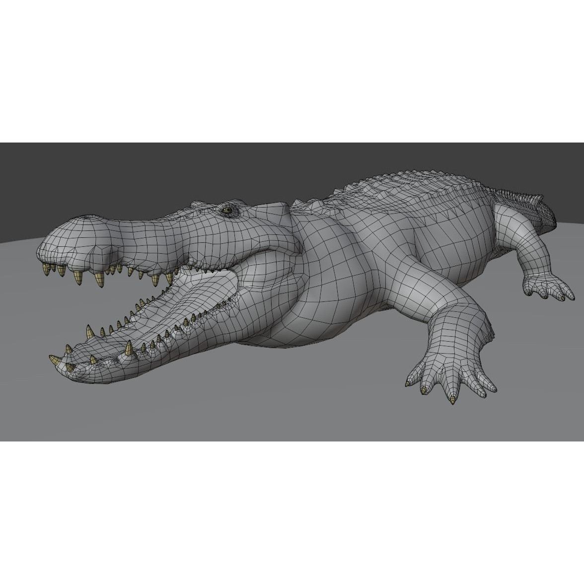 Saltwater Crocodile - Low-Poly Game-Ready 3D Model - View 14
