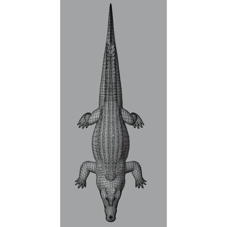 Saltwater Crocodile - Low-Poly Game-Ready 3D Model - View 15