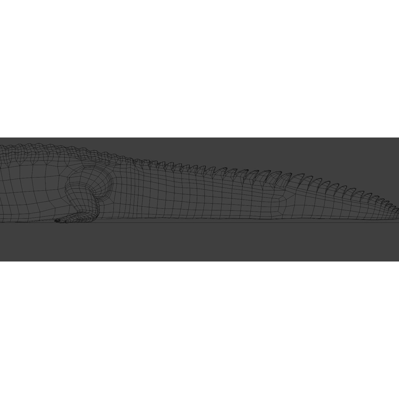 Saltwater Crocodile - Low-Poly Game-Ready 3D Model - View 19