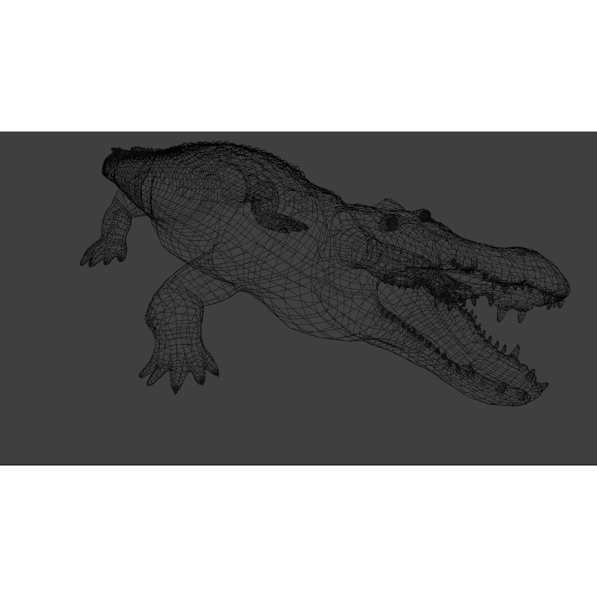 Saltwater Crocodile - Low-Poly Game-Ready 3D Model - View 21