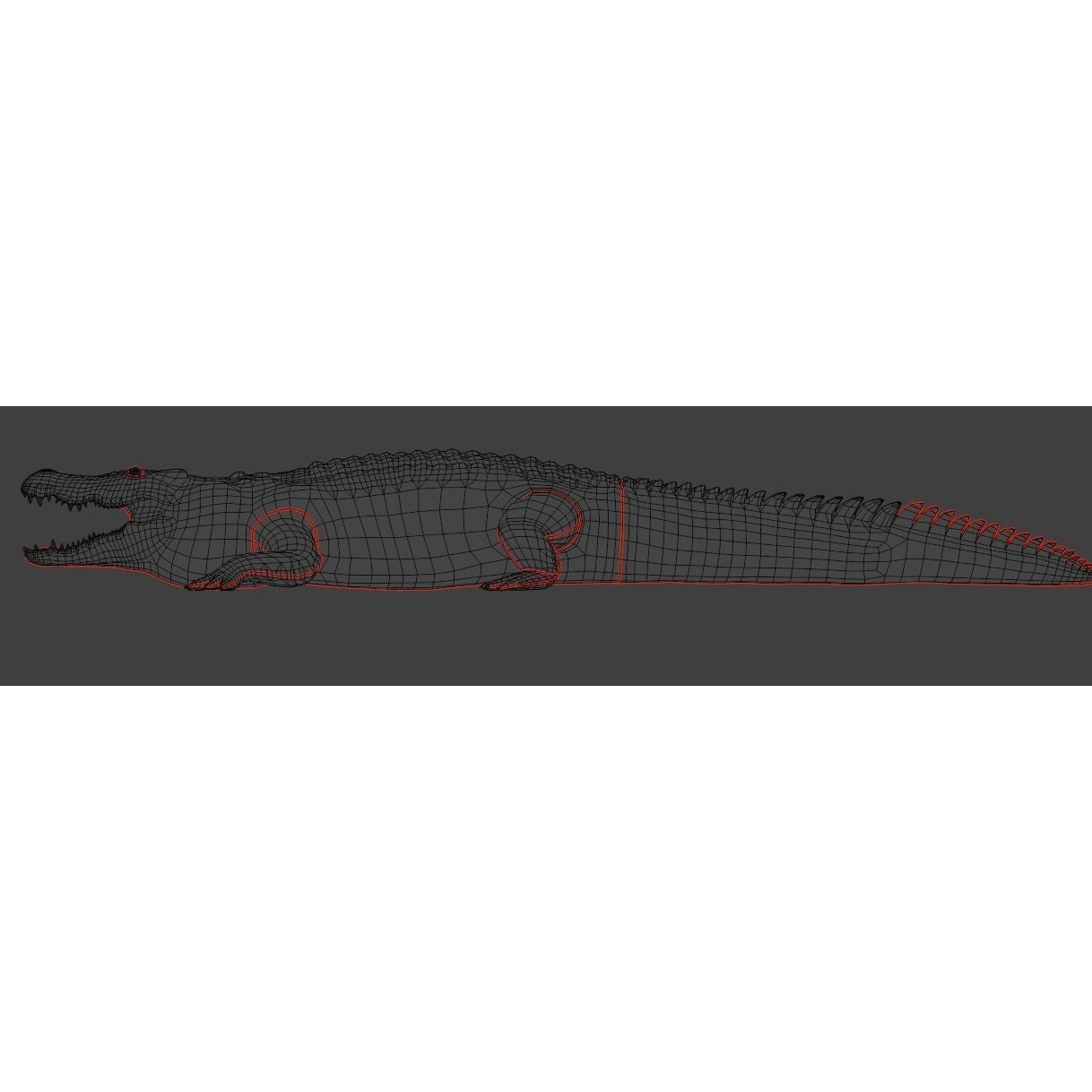 Saltwater Crocodile - Low-Poly Game-Ready 3D Model - View 22