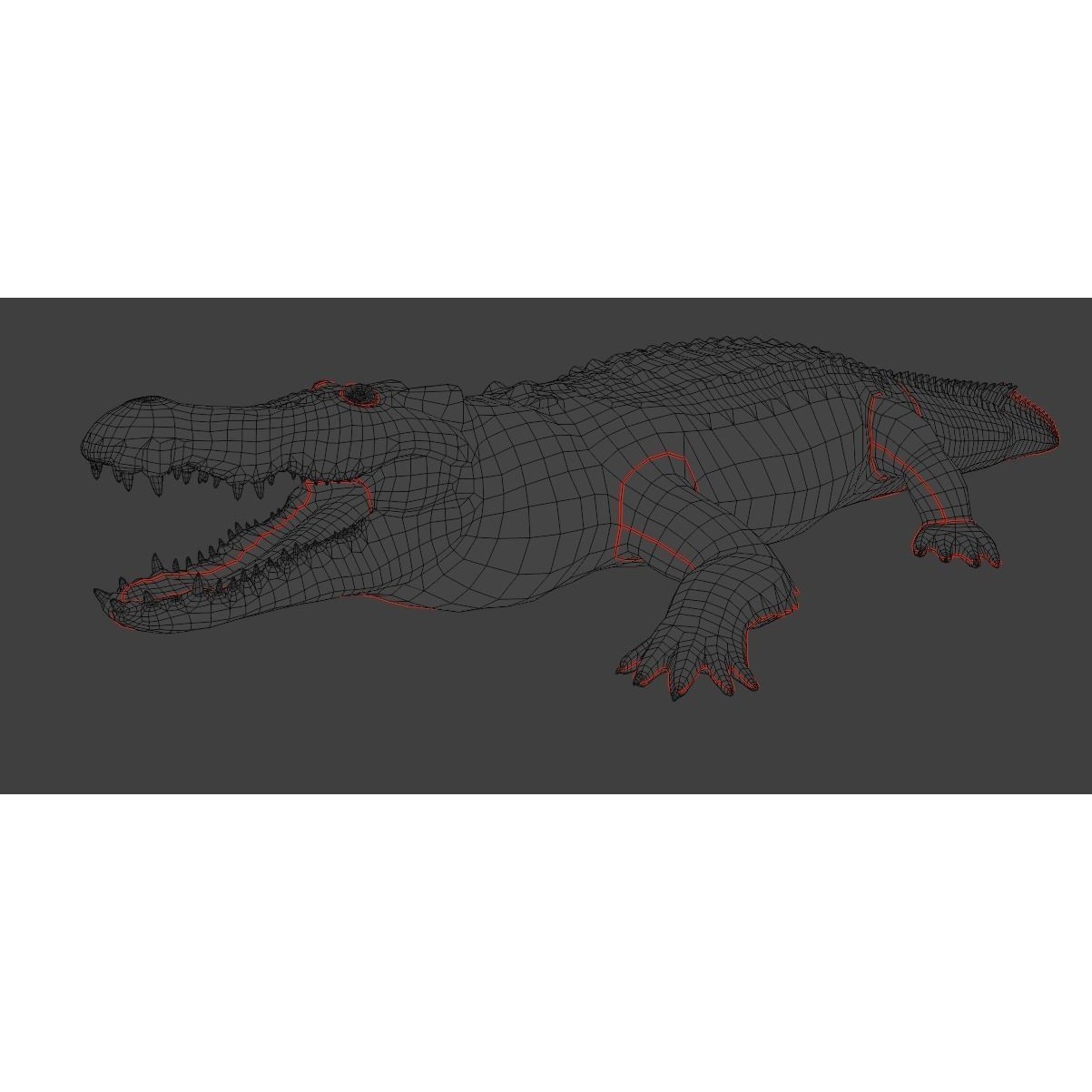 Saltwater Crocodile - Low-Poly Game-Ready 3D Model - View 23