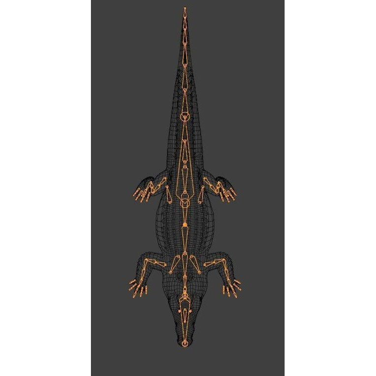 Saltwater Crocodile - Low-Poly Game-Ready 3D Model - View 25