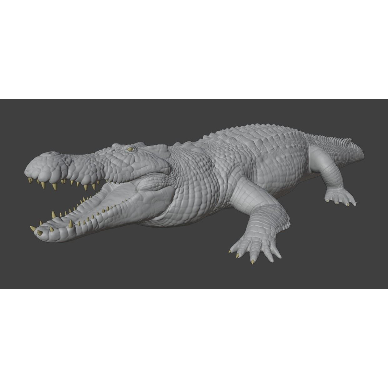 Saltwater Crocodile - Low-Poly Game-Ready 3D Model - View 26
