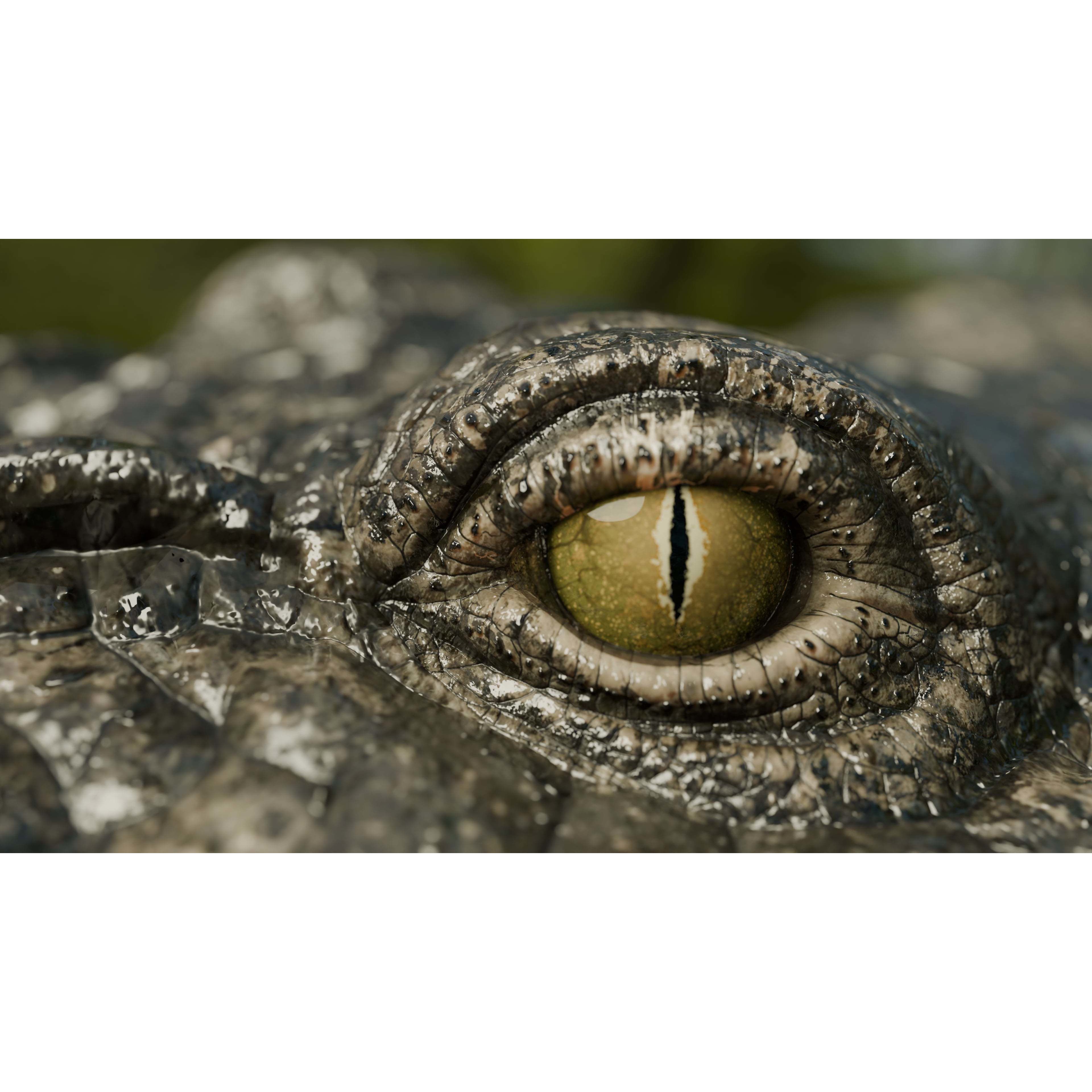 Saltwater Crocodile - Low-Poly Game-Ready 3D Model - View 7