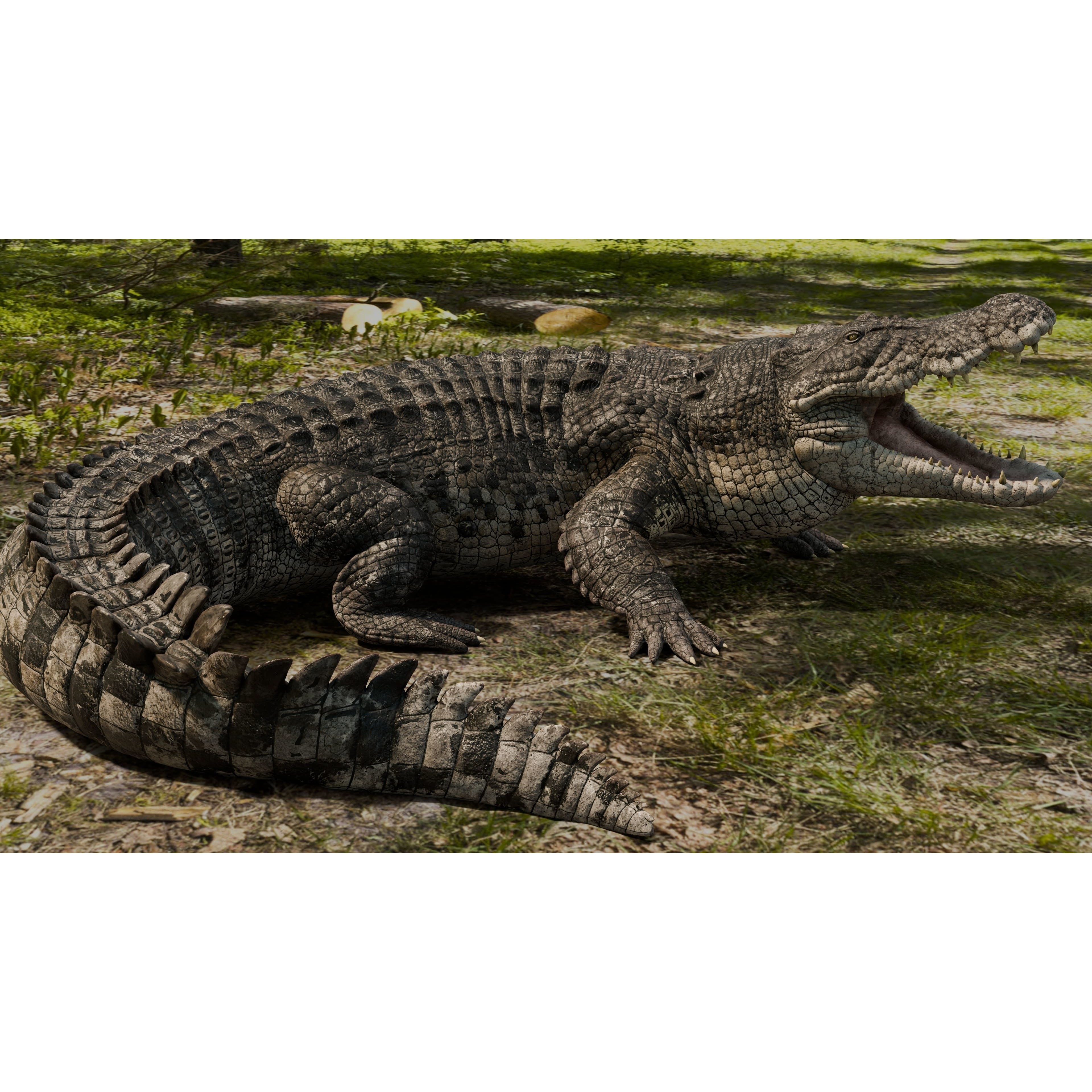 Saltwater Crocodile - Low-Poly Game-Ready 3D Model - View 9