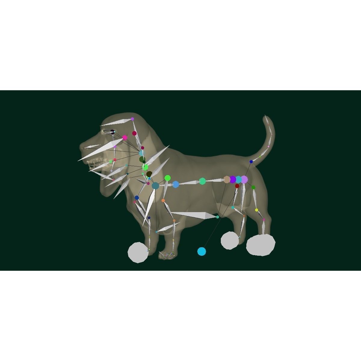 Basset Hound - Game-Ready 3D Model - View 15