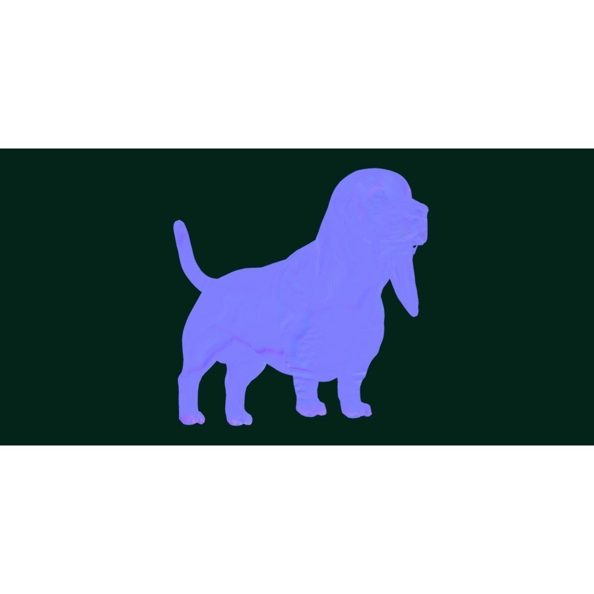 Basset Hound - Game-Ready 3D Model - View 19