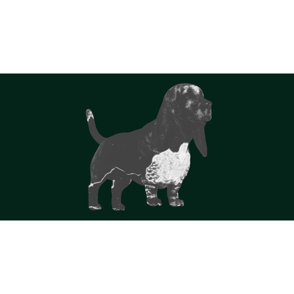 Basset Hound - Game-Ready 3D Model - View 20